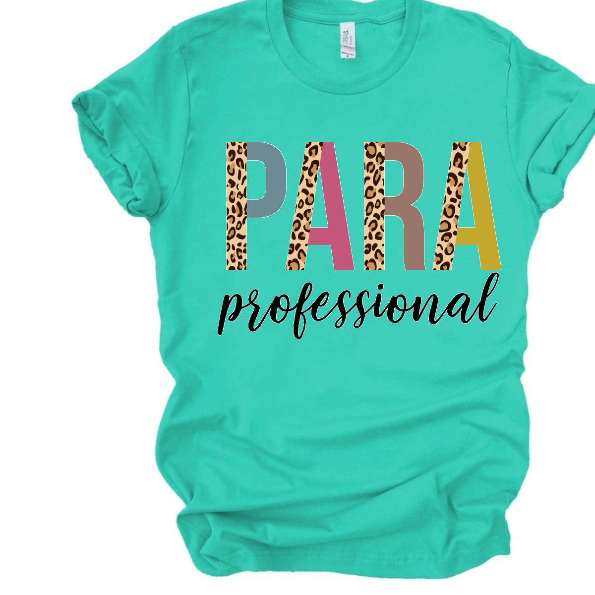 Paraprofessional