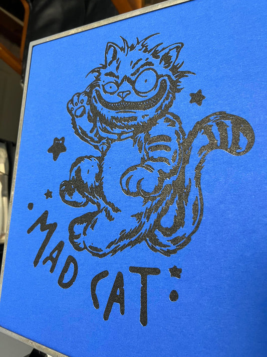 Starry MadCat