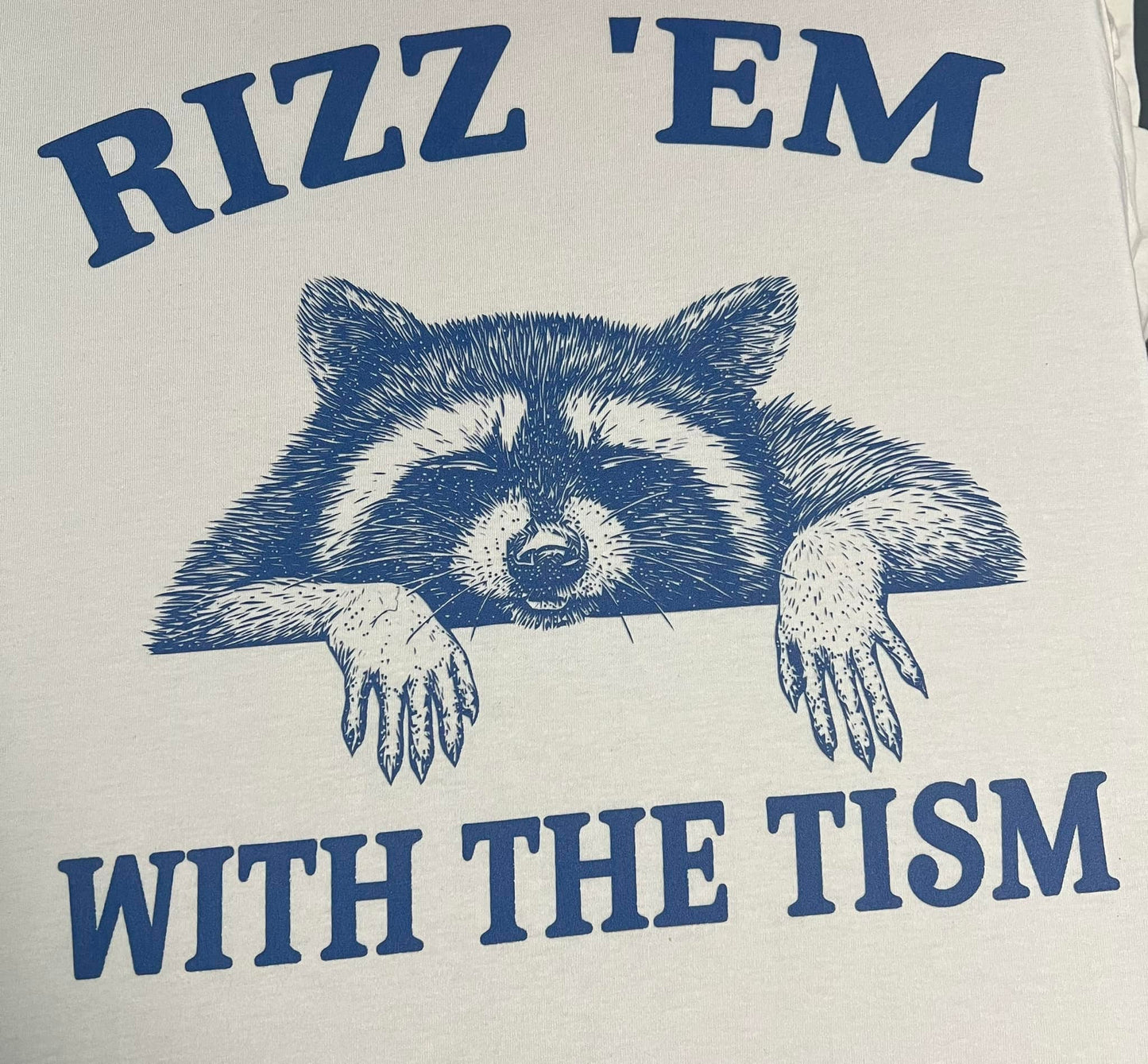 Rizzem Raccoon