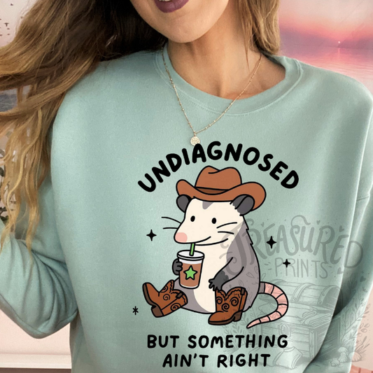 Undiagnosed Possum Tee