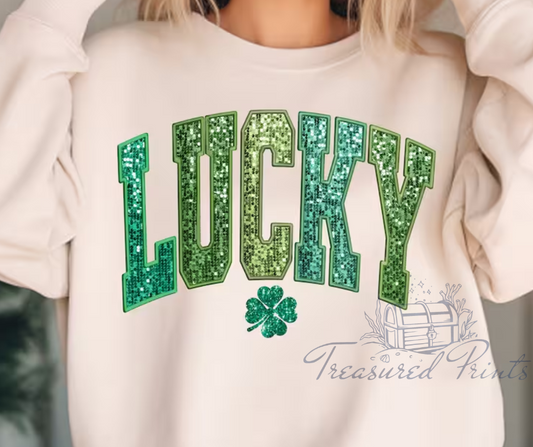 Lucky Faux Sequin Embroidered Look