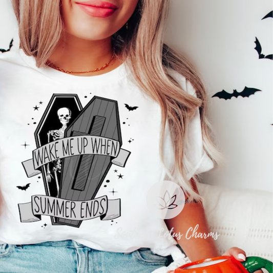 Wake Me Up When Summer Ends